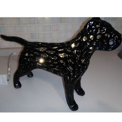 LAMPADA CORSO 40cm lunghezza*25cm altezza